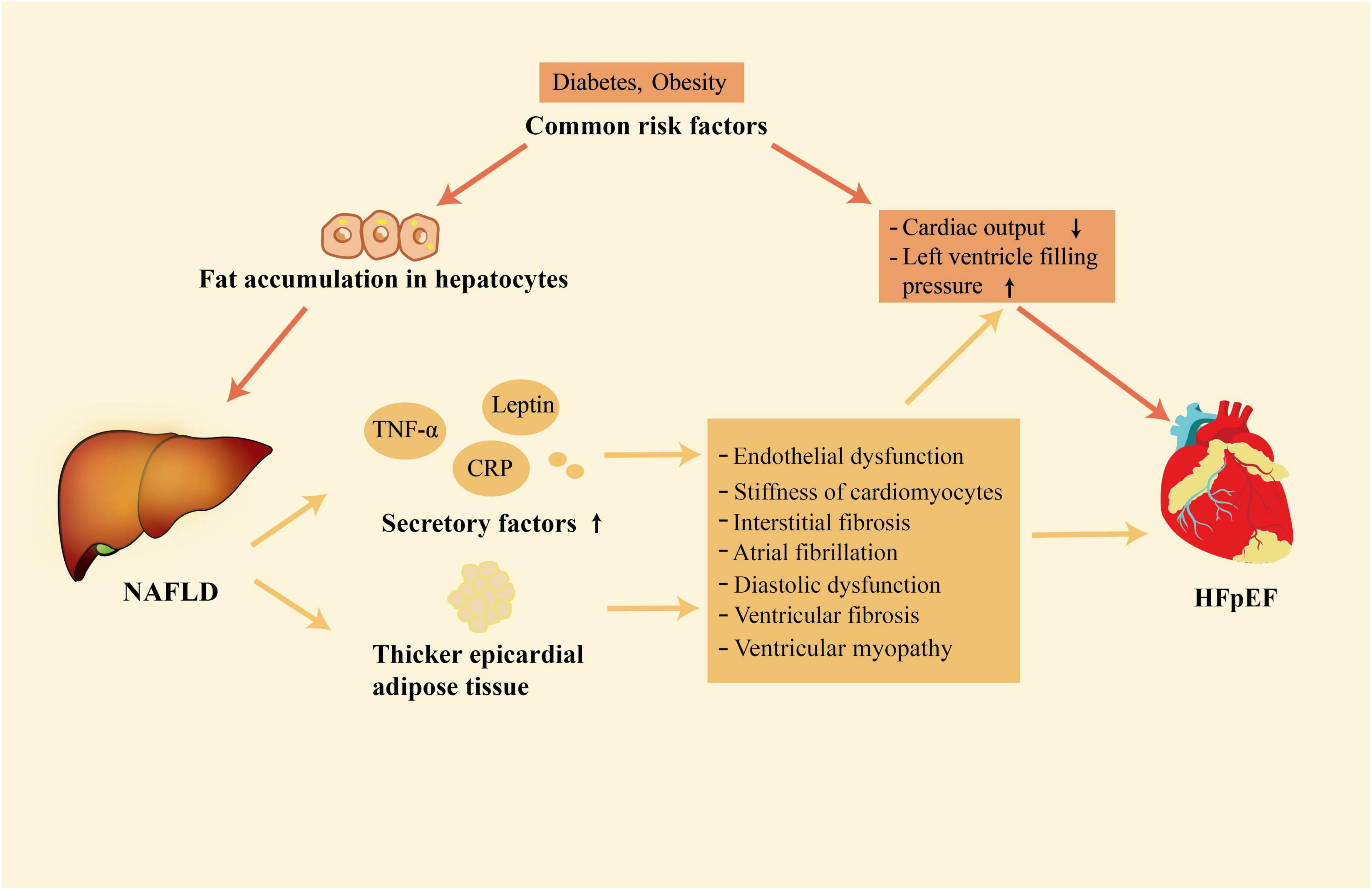 frontiers-effects-of-treatment-of-non-alcoholic-fatty-liver-disease